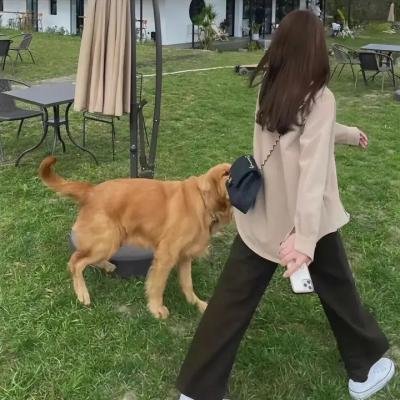 恍然大悟